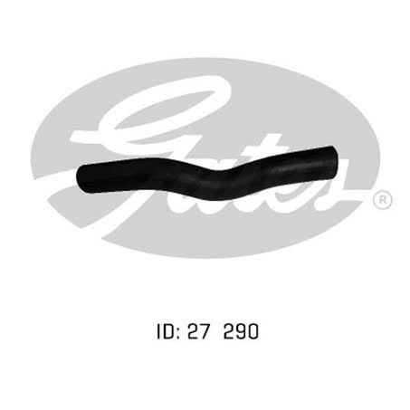 Default Image