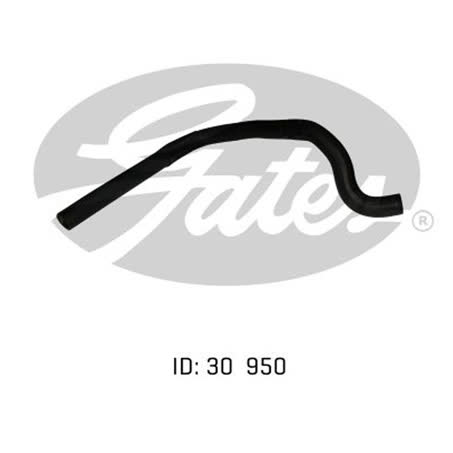 Default Image