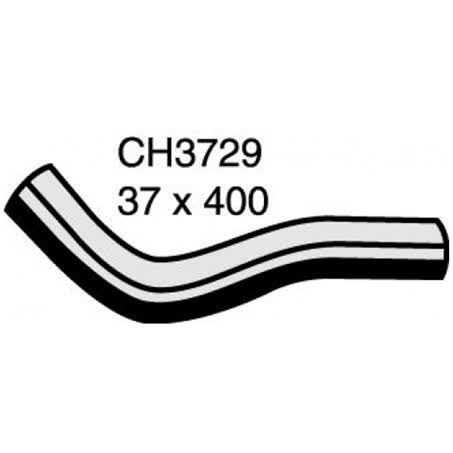 Default Image