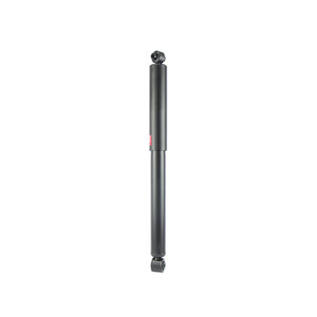 Rear Perspective