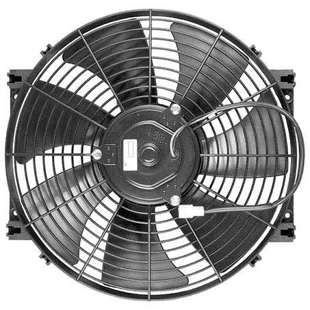 Default Image