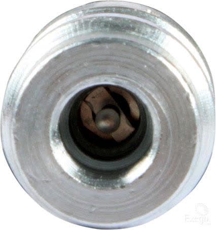 Bottom