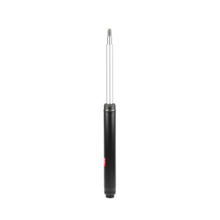 Rear Perspective