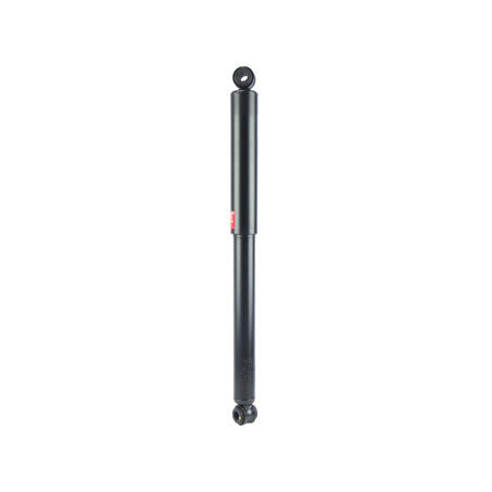 Rear Perspective