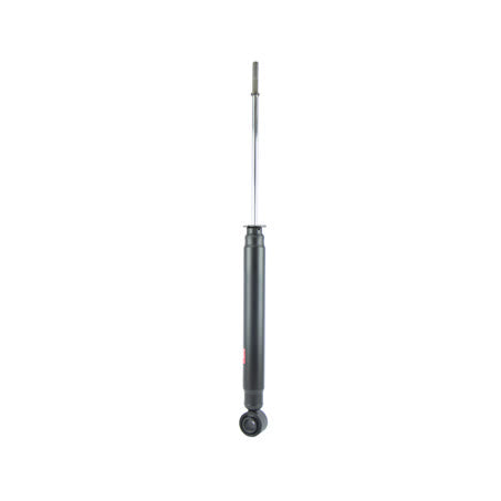 Rear Perspective