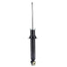 Rear Perspective