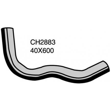Default Image