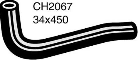 Default Image